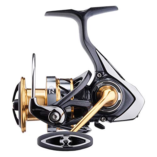 Daiwa Carretes de Pesca Exceler LT 6000 D Bobina Profunda Spinning Boloñesa Feeder Trucha Rio