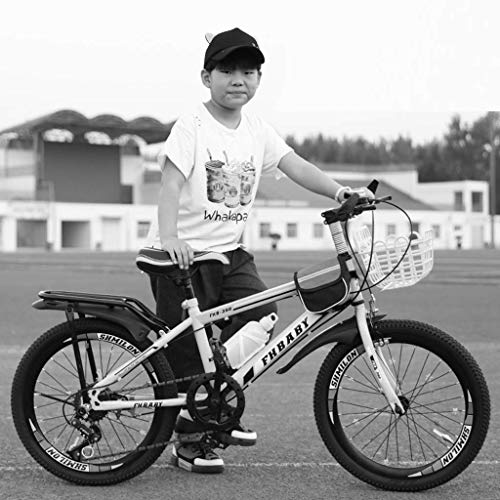 Dalovy Bicicleta para Niños, Bicicletas Bicicleta Niño / 18 Pulgadas / 20 Pulgadas / 22 Pulgadas Niño Niña Bicicleta Estudiante Viaje Bicicleta Velocidad Variable Personalización Bicicleta 5~15 Años