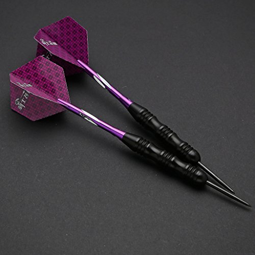 Dart Arrows Set, 3 Piezas Prof Steeldarts Steel Tip Darts Set Darts (Flechas de Acero Dart) con vuelos, Ejes, Caja de Almacenamiento D1