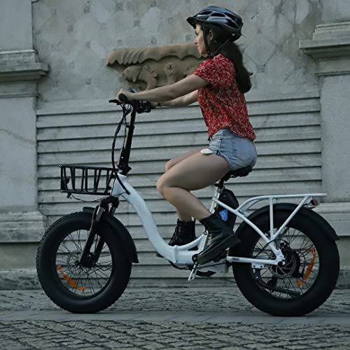 DERUIZ Amber 20" Bicicleta Eléctrica Fat Bike 48V 624Wh