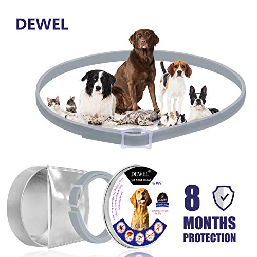 DEWEL Collar Antiparasitos Perro/Gato contra Pulgas,Garrapatas y Mosquitos,Tamaño Ajustable e Impermeable para Mascota Pequeño Mediano Grandes