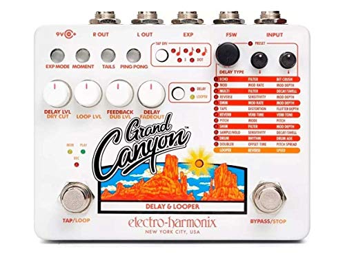 Electro Harmonix Grand Canyon Delay & Looper, SG_B07KWGH69H_US