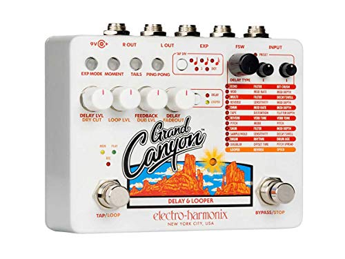 Electro Harmonix Grand Canyon Delay & Looper, SG_B07KWGH69H_US