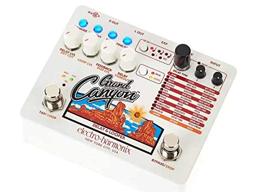 Electro Harmonix Grand Canyon Delay & Looper, SG_B07KWGH69H_US