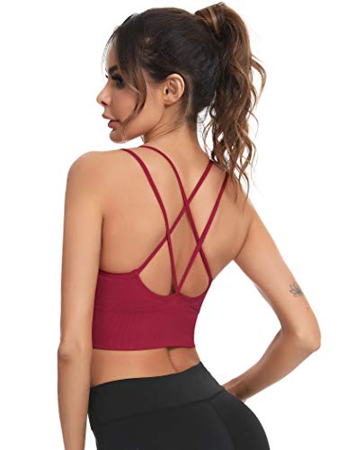 Enjoyoself Sujetador Deportivos Yoga Jogging Lencería Sujetador Acolchado Ropa Interior Deportiva Push Up Brassiere Elástico Almohadillas Extraíbles M