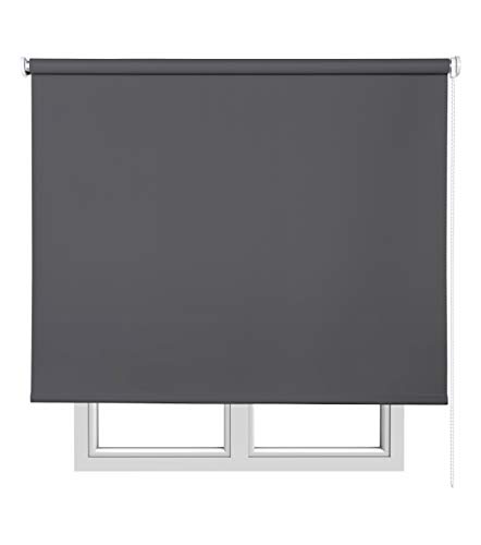 Estores Basic 15955 - Estor Opaco, Gris Oscuro, 140 x 180 cm, 1 Unidad