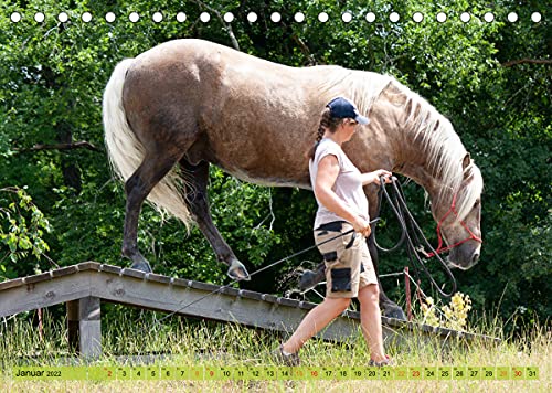 Extrem Trail mit Pferden (Tischkalender 2022 DIN A5 quer): Pferde sollen lernen sich selber einen Weg zu suchen. (Monatskalender, 14 Seiten )