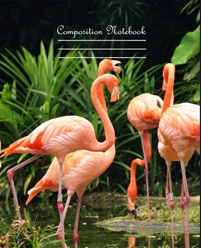 Flamingo Composition Notebook: Wide Ruled Flamingo Composition Notebook / Flamingo Composition Notebook For Women , For Girls ,For students , Cute ... college ruled notebook | Back to Scool Gift |