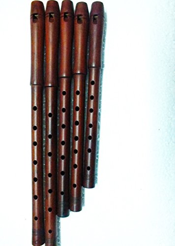 Flauta turca de buena calidad de ciruela Dilli Kaval Tutek Shivi (individual)