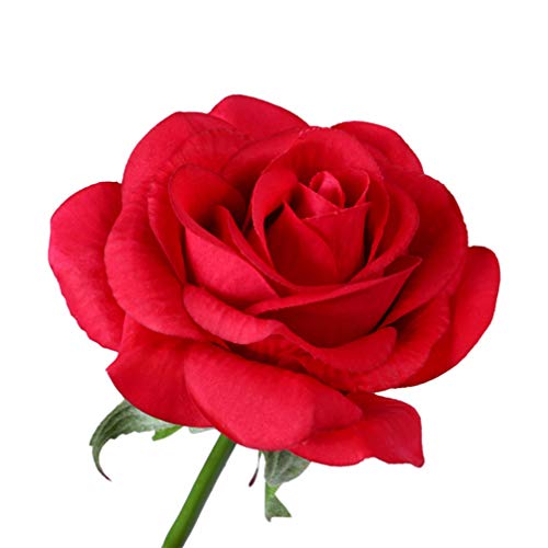 FRCOLOR Rosa de Seda Roja Y Luz Led en Cúpula de Cristal con Luces Led en Una Base de Madera-Flor de Rosa Eterna con Luz de Cadena Led Decoración del Hogar para El Día de San Valentín