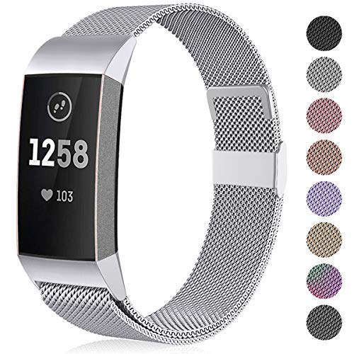 Funbiz Compatible con Fitbit Charge 3 Correa/Fitbit Charge 4 Correa, Banda de Reemplazo Ajustable Acero Inoxidable Correas para Fitbit Charge3/Charge 4/Charge 3 SE, Pequeña Plata