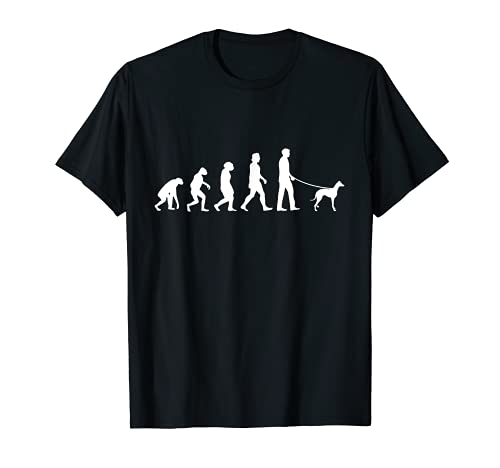 Galgo Espanol Evolution - Galgo español Camiseta