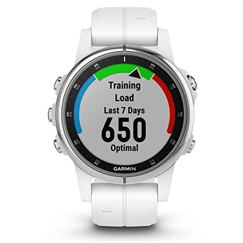 Garmin Fēnix Fenix 5S Plus Sapphire, Blanco, L