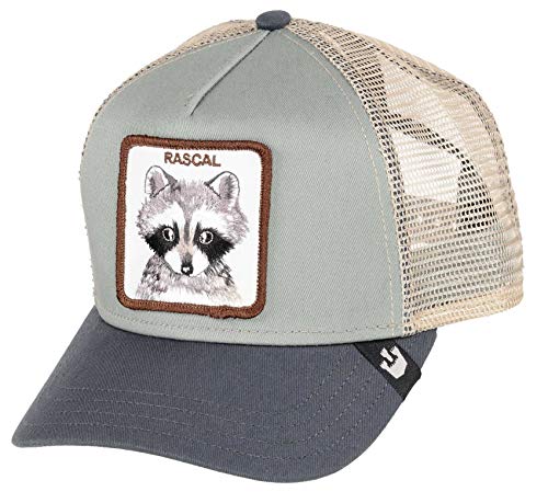 Goorin Bros - Gorra con diseño de mapache, color gris, talla única