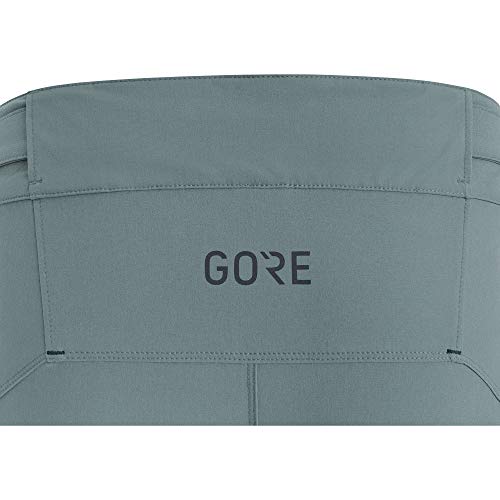 GORE WEAR C5 Pantalón Corto