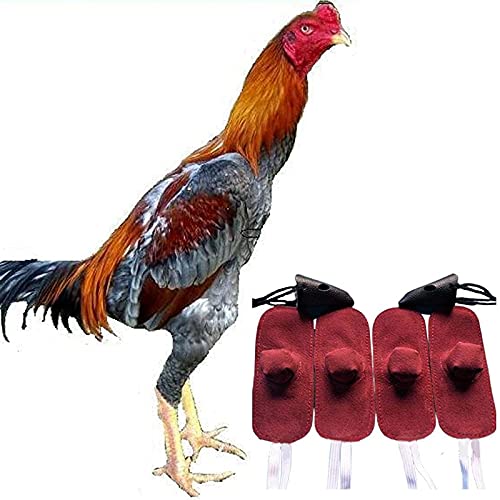 GOTRGEOOUS Gallo gallos manopla de Pollo, Suministros de Lucha de gallinas, protección de Lucha de gallinas, Suministros de gallos y Equipo para Evitar Que el Pollo se dañe