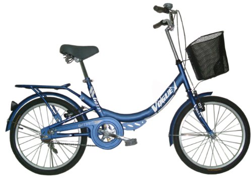 GOTTY Bicicleta de Paseo Vogue 20.1, 20", 1 Velocidad, para Todas Las Edades a Partir de 10 años.