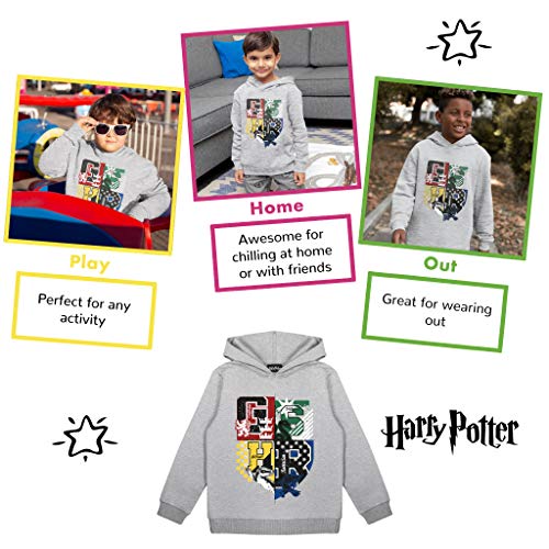 Harry Potter Hogwarts Casa crestas Niños Sudadera con Capucha Gris Heather 12-13 años