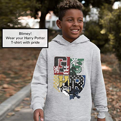 Harry Potter Hogwarts Casa crestas Niños Sudadera con Capucha Gris Heather 7-8 años