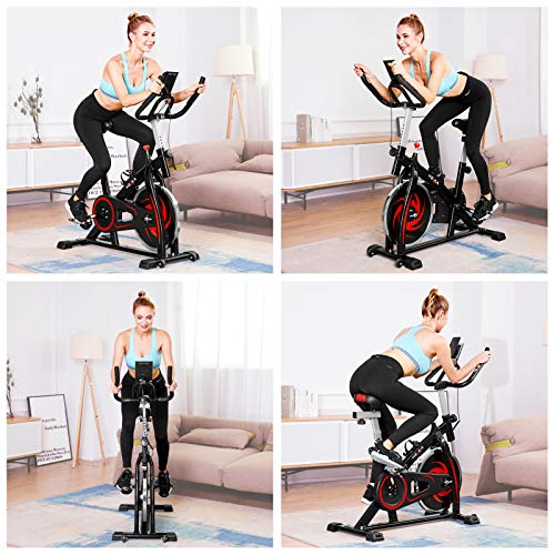 HEKA Bicicleta Estática de Casa para Entrenamiento Indoor, Bicicleta Spinning Profesional, Resistencia Variable, Altura Ajustable, Pantalla LCD
