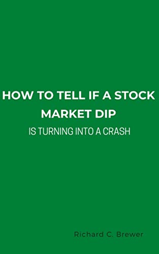 How To Tell If A Stock Market Dip Is Turning Into A Crash (English Edition)