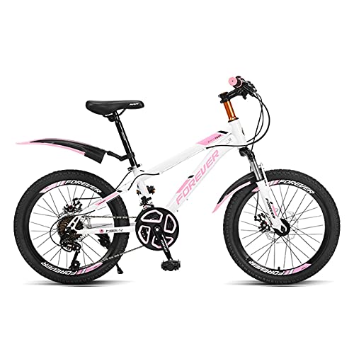 HUAQINEI Bicicleta para niños de 22", Adecuada para niñas y niños de 10 a 18 años, con Freno de Mano