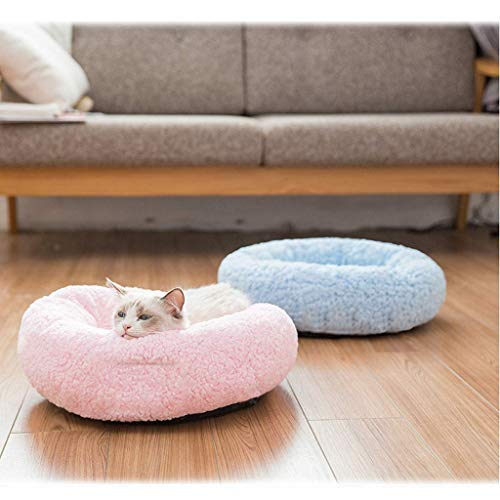 HXCD Cama para Mascotas Abierto Abierto Nido para Mascotas Four Seasons Universal Pequeño Perro de Terciopelo Cama para la litera del Gato Villa 2 Colores Opcionales (Color: Azul, tamaño: S (8 kg