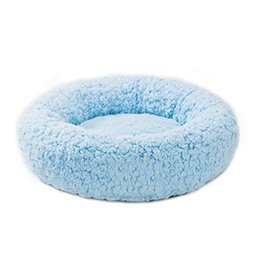 HXCD Cama para Mascotas Abierto Abierto Nido para Mascotas Four Seasons Universal Pequeño Perro de Terciopelo Cama para la litera del Gato Villa 2 Colores Opcionales (Color: Azul, tamaño: S (8 kg