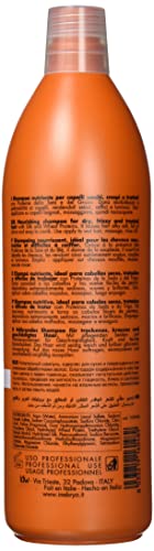 INEBRYA Dry-T Champú Cabello seco, Encrespado y tratado-1000 ML, Multicolor, 1 l (Paquete de 1), 1000