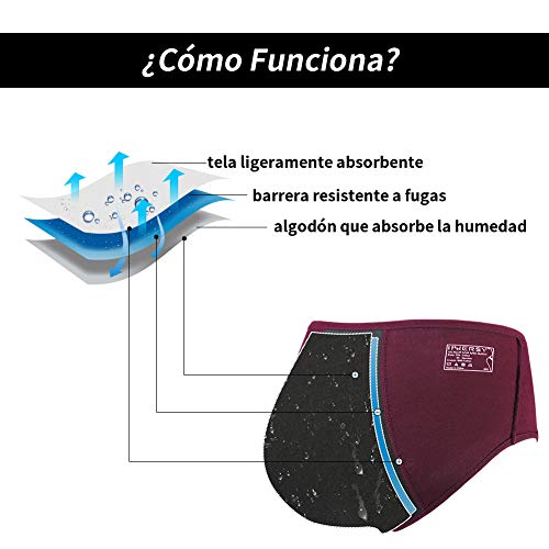 INNERSY Bragas Menstruales Absorbentes de Mujer para Período Algodón Pack de 3 (S-EU 38, Rojo+Azul+Gris)