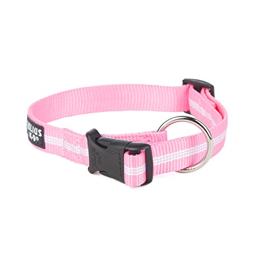 Julius-K9 Collar de correas tubulares IDC