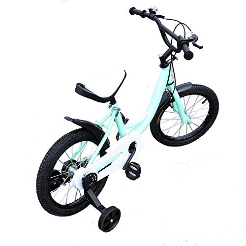 Kaibrite Bicicleta infantil de 16 pulgadas, para niños, con rueda auxiliar, color verde