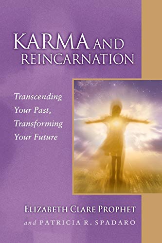 Karma And Reincarnation: Transcending Your Past, Transforming Your Future (Pocket Guides to Practical Spirituality Series)