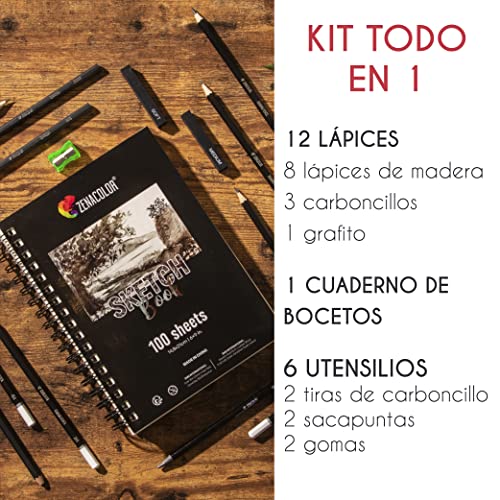 Kit Dibujo Completo - Principiante/Profesional - 19 accesorios: 8 Lapices, 3 lapiz carboncillo, 1 Grafito, 2 Barra Carboncillo, Cuaderno dibujo 100 págs - Regalo ideal para artistas de cualquier Nivel