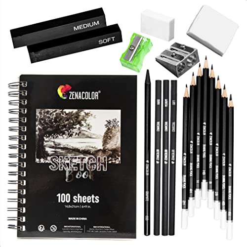 Kit Dibujo Completo - Principiante/Profesional - 19 accesorios: 8 Lapices, 3 lapiz carboncillo, 1 Grafito, 2 Barra Carboncillo, Cuaderno dibujo 100 págs - Regalo ideal para artistas de cualquier Nivel