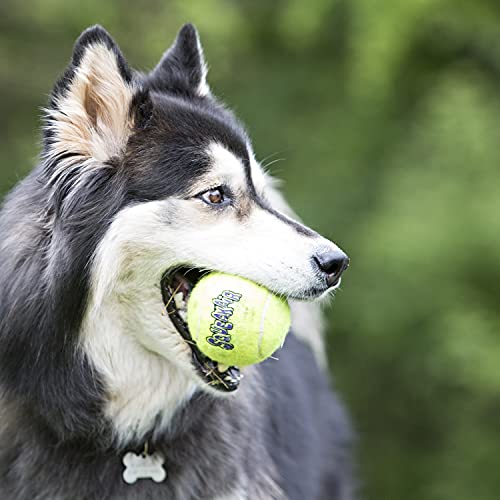 KONG - Squeakair Balls - Pelotas de Tenis sonoras Que respetan Sus Dientes - para Perros de Raza Mediana (Pack de 6)