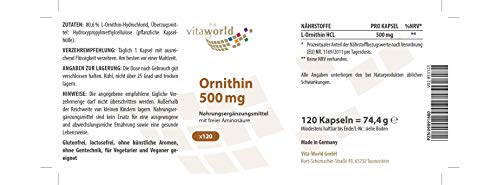 L-Ornitina 500mg 120 Cápsulas Vita World Farmacia Alemania - L-Ornithina - Masa Muscular -