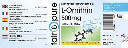 L-Ornitina 500mg - Aminoácido vegano - Altamente dosificado - Alta pureza - 180 Cápsulas