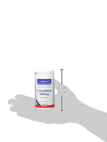 Lamberts L-Ornitina 500Mg 60 Unidades 70 g