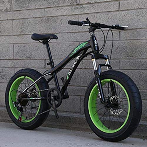 LFSTY Bicicleta Fat Tire Bike, Bicicletas de montaña para Adultos y Adolescentes con Frenos de Disco y Horquilla de suspensión de Resorte, Marco de Acero de Alto Carbono,E,20inch 7 Speed