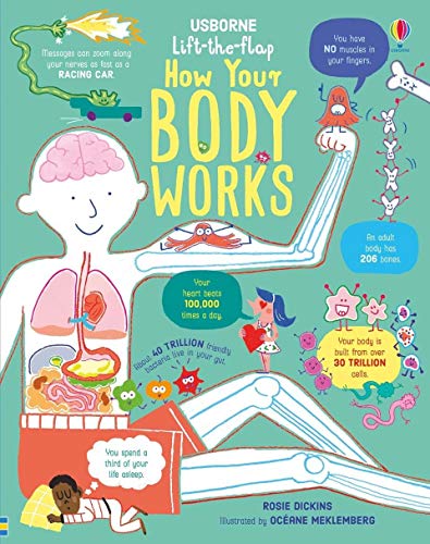 Lift The Flap How Your Body Works (How It Works)
