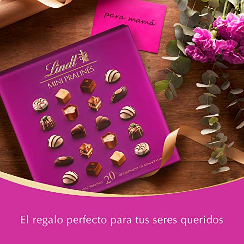 Lindt Mini Pralines Caja de Bombones Surtidos, 100g