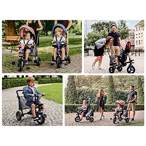 LIONELO Tris Bicicleta 2 en 1 Niño hasta 25 kg 12-60M Triciclo y carrito- bicicleta Cinturones de 3 puntos con fundas Regulación gradual del respaldo de 3 niveles Rosa y Gris