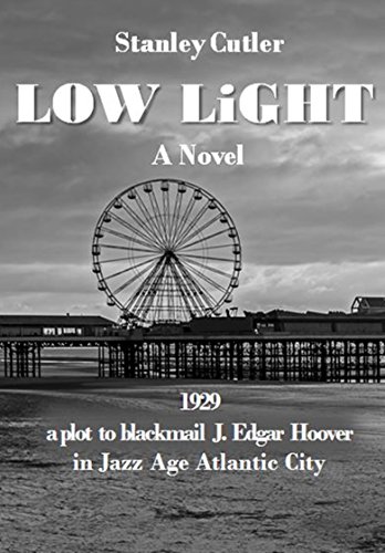 Low Light: A Novel (Dave Levitan Mysteries Book 1) (English Edition)