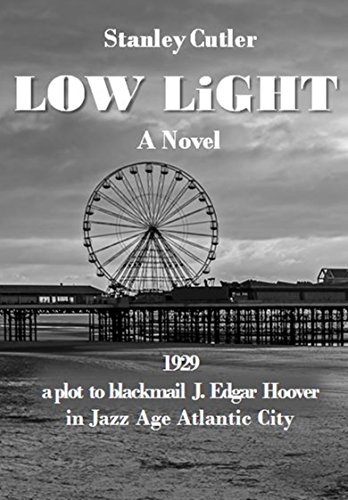 Low Light: A Novel (Dave Levitan Mysteries Book 1) (English Edition)