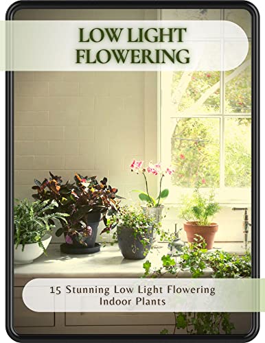 Low Light Flowering: 15 Stunning Low Light Flowering Indoor Plants (English Edition)