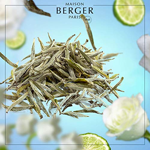 Maison Berger Paris – Vela perfumada blanca esmerilada – Colección Land – Perfume té blanco pureza