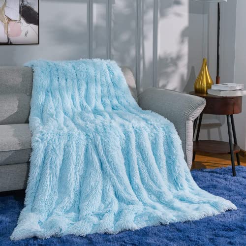 Manta Pelo, Manta Sofa Largo Mullida Súper Suaves y Cálidas, Manta Peluche PV y Franela de Doble Cara, Manta para Sofa, Cama, 130x160cm, Azul Claro