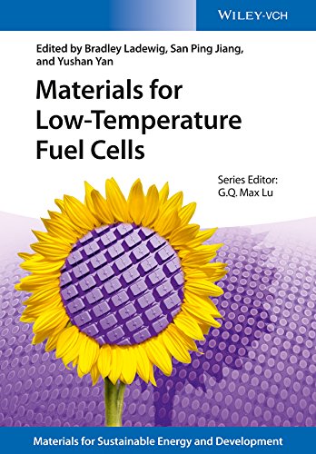 Materials for Low-Temperature Fuel Cells (Materials for Sustainable Energy and Development) (English Edition)