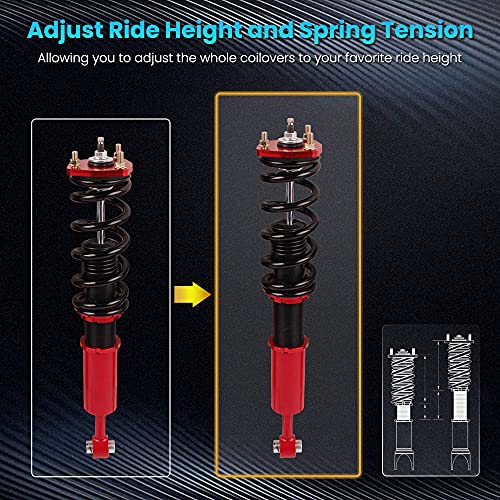 maXpeedingrods 4x Coilover Regulable de 24 Niveles, Amortiguador para Lexus IS300 2001-2005 XE10 1998–2005, Suspensión Roscada con Muelle, Kit Completo de Resorte Helicoidal, Altura Regulable Rojo